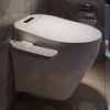 Renlux Electric Bidet Product Thumbnail